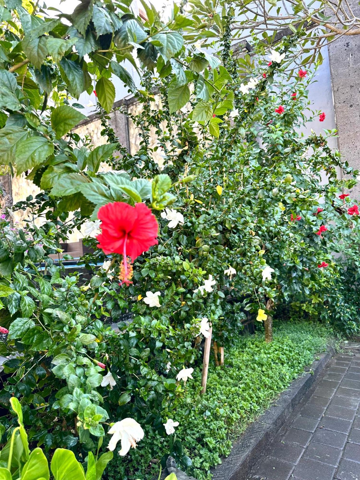 Radha Bali Hotel Kuta Lombok Kültér fotó